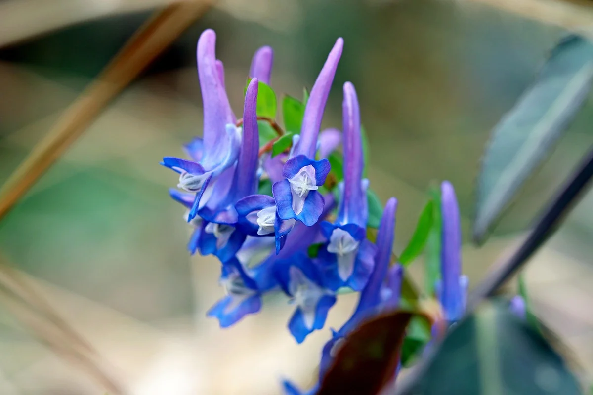 Leadership From a Distance: Making the Invisible Work Visible