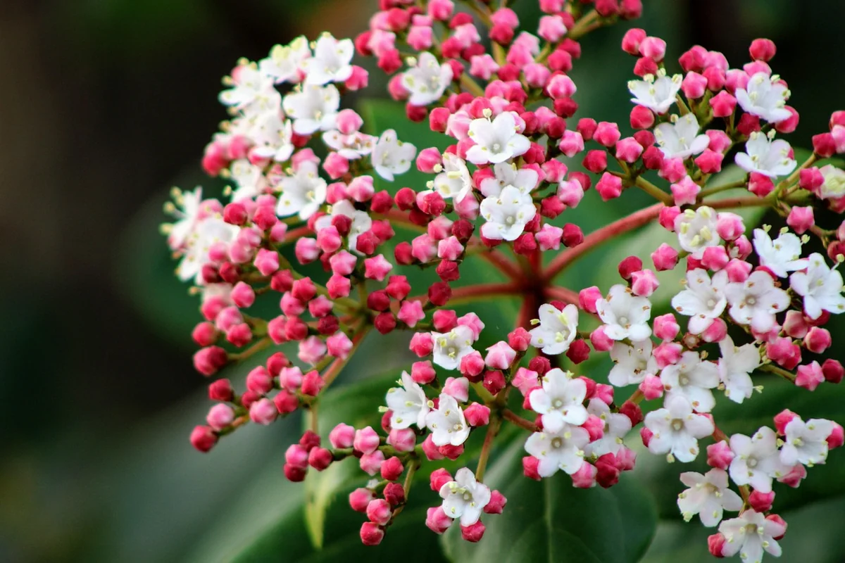 Your Next Move: From Reading to Doing