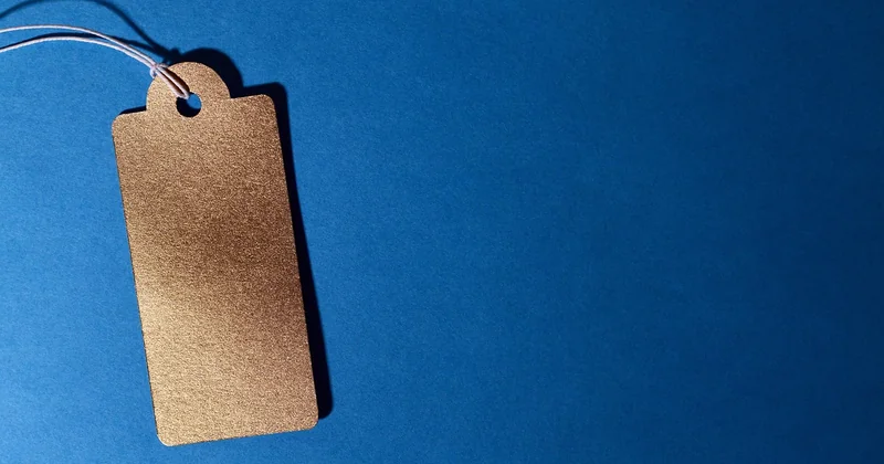 What is a reasonable subscription price?