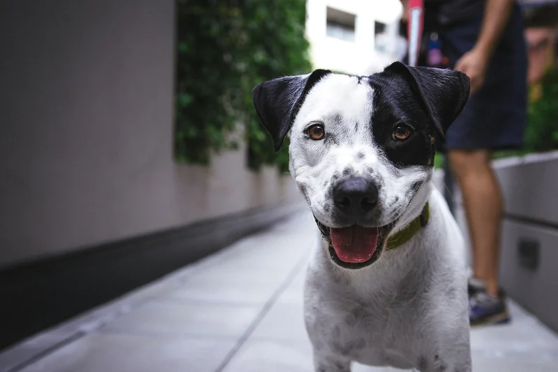 The Employee Experience Link You Can't Ignore