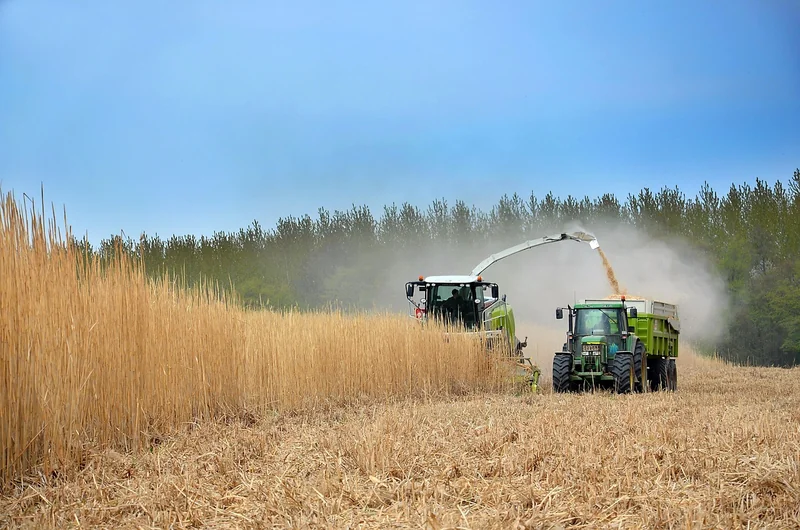 Embedding Culture & Avoiding the Greenwashing Trap