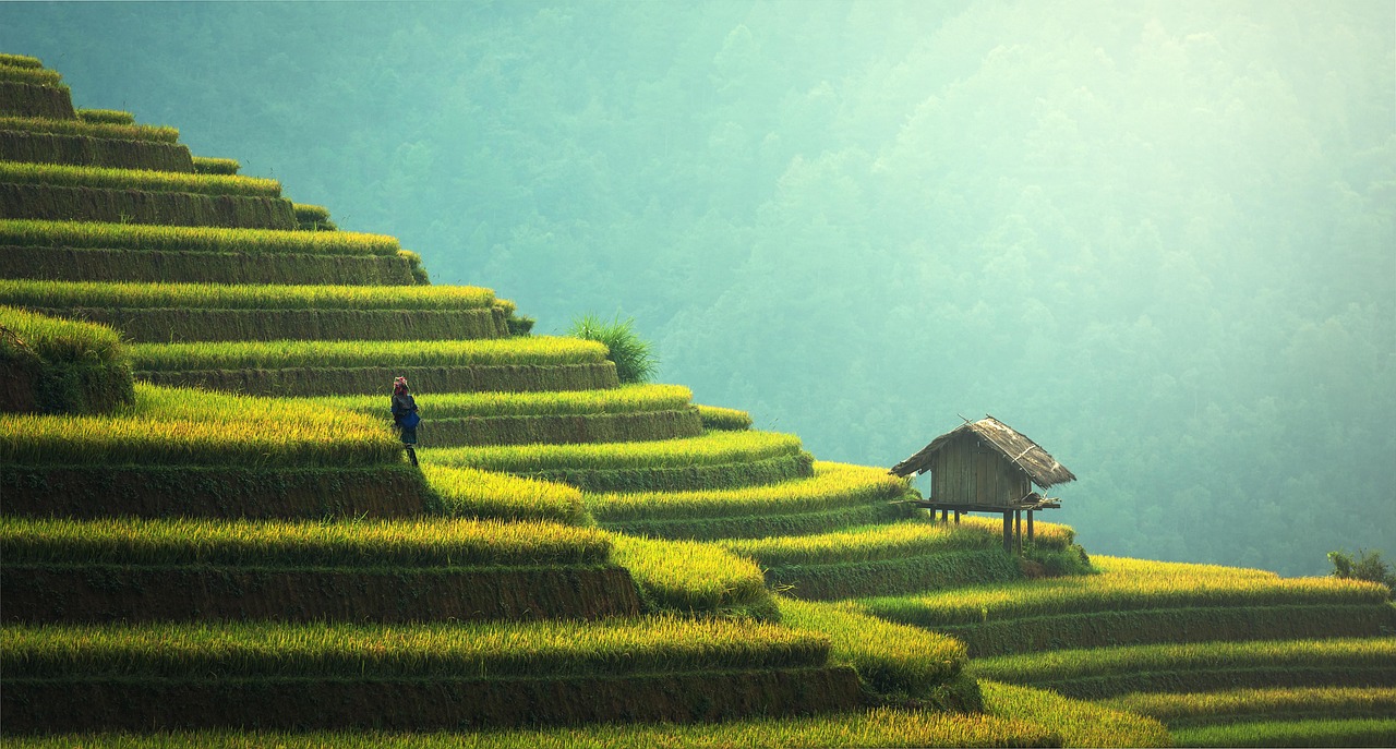 discover key strategies and innovative practices for achieving sustainable growth in today’s business landscape. learn how to balance profitability, environmental responsibility, and long-term success.