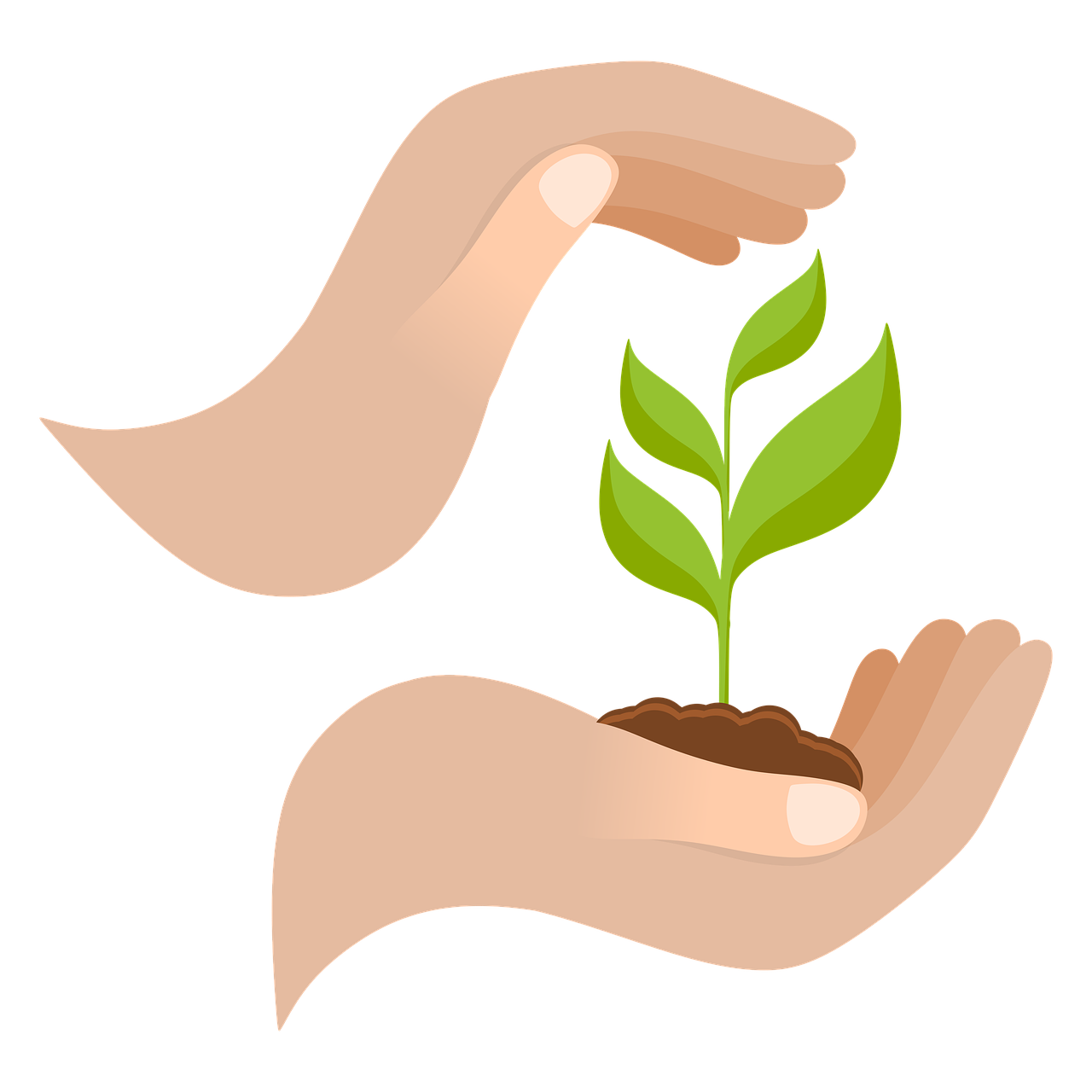 discover key strategies and best practices for achieving sustainable growth in your business or organization. learn how to balance profitability, social responsibility, and environmental impact for long-term success.